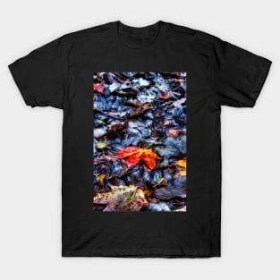 Red Leaf T-Shirt